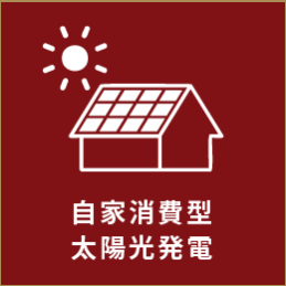 自家消費型 太陽光発電